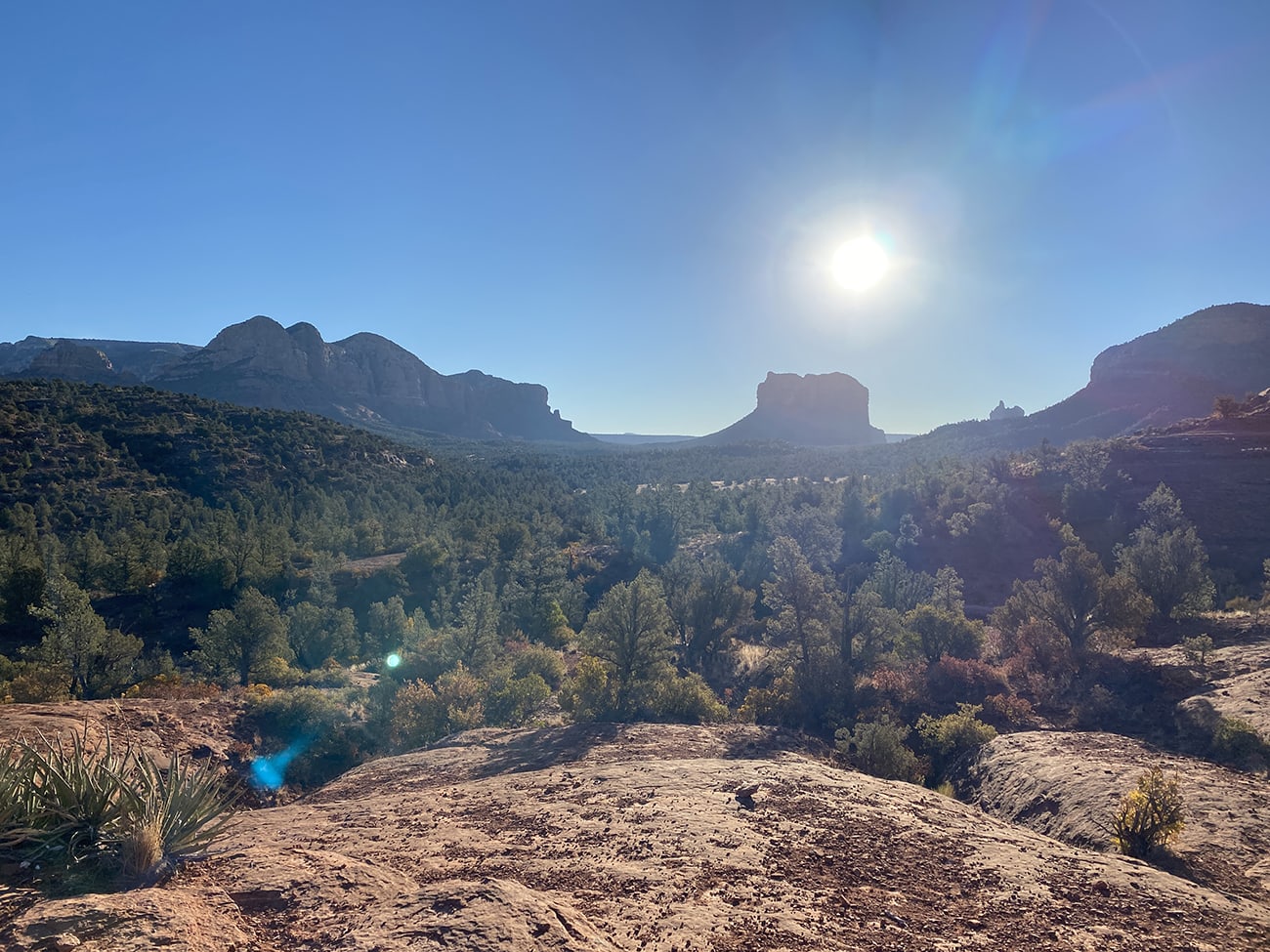 NanoX1sedona NanoX1sedona