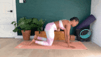 plank plank
